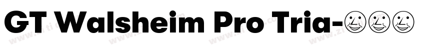 GT Walsheim Pro Tria字体转换